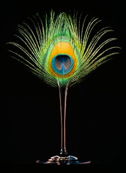 Cocktailor